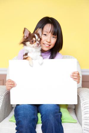 シロアリ駆除の専門店アサンテ｜即日対応・土日祝も対応可能な安心のサービス